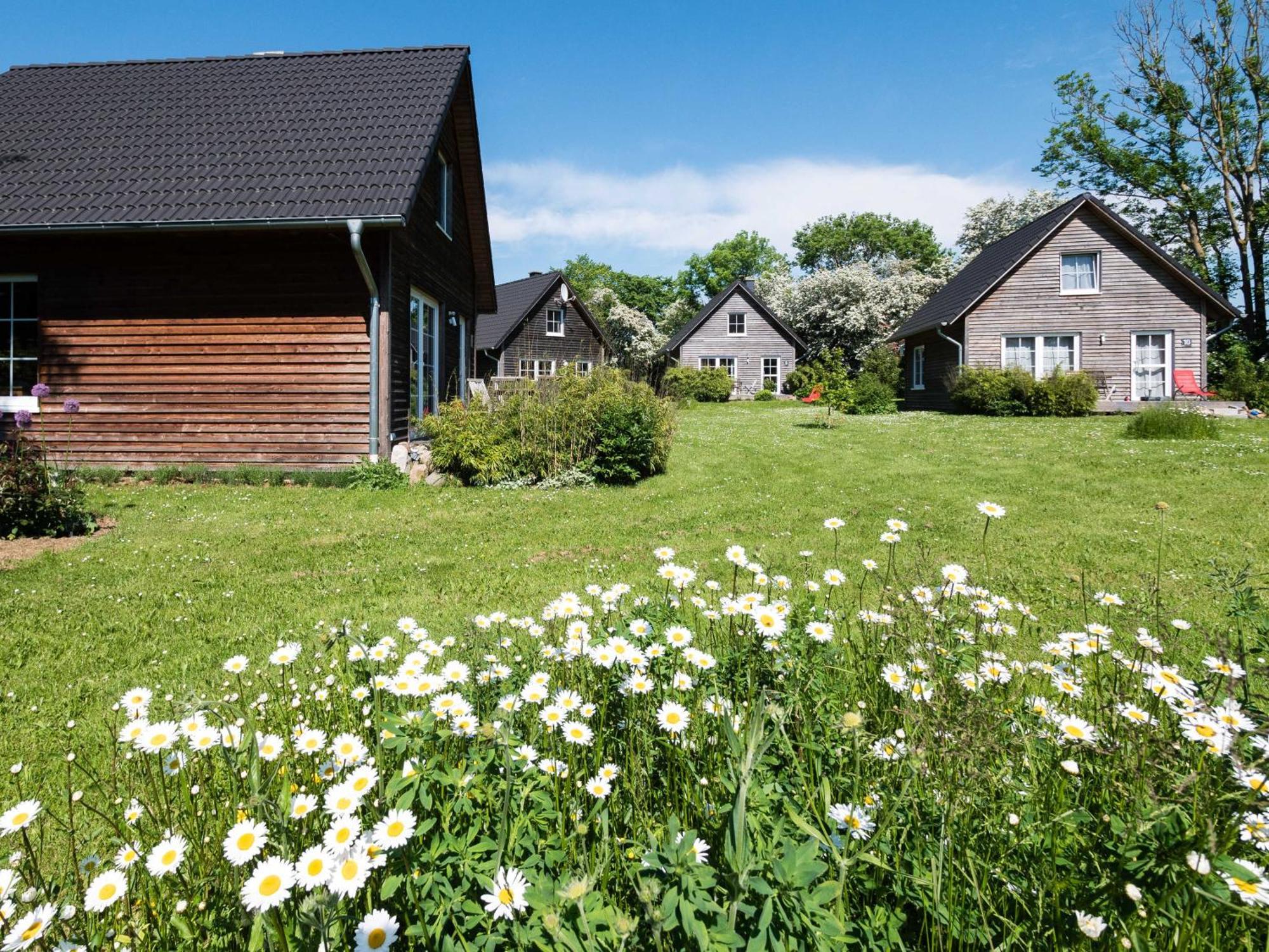 Schmidt'S Ferienhaeuser Bei Zingst Ludershagen Extérieur photo